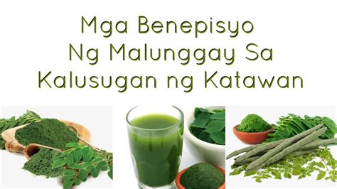 bunga ng malunggay health benefits tagalog|Benepisyo Ng Malunggay at Iba pang Tulong Nito Para Sa Iyong .